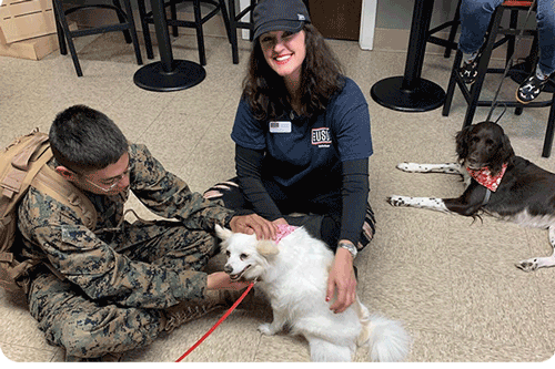 Image of service dog