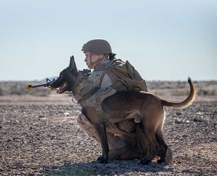 U.S. Marine Corps service member and his Military Working Dog