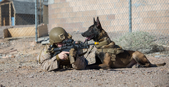 Service member with his Military Working Dog (MWD)