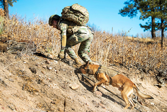 Military dog and service member climbing up a hill