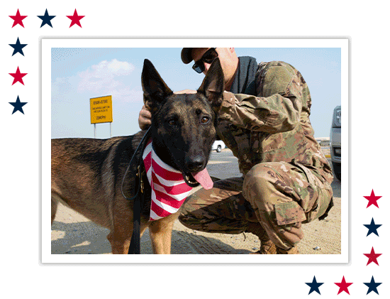 Service member and their K-9 dog; K-9 dog posing with an American flag bandana; Military dog being guided by service member