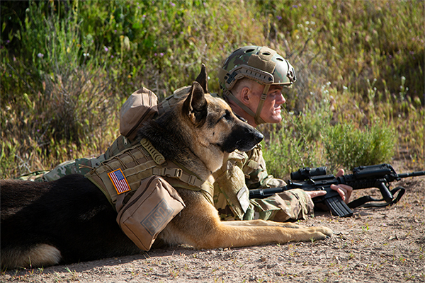 Service member and military dog on duty