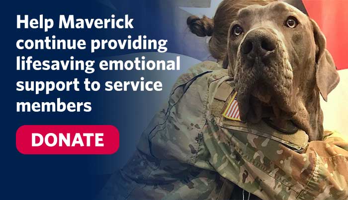 Service member hugs Maverick, a USO therapy dog.