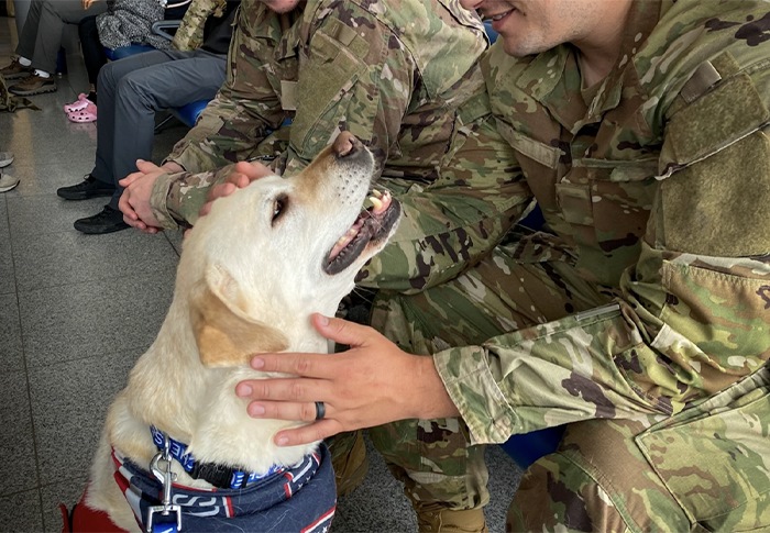 Service member petting USO Canine Volunteer Penny, a yellow lab.