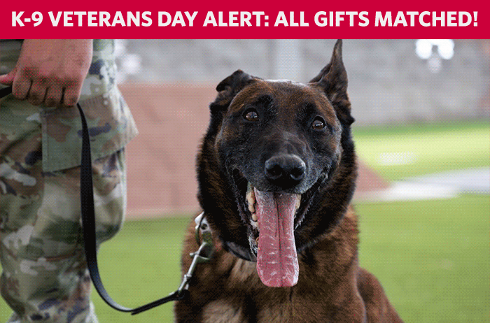 K-9 Veterans Day Alert: All Gifts Matched