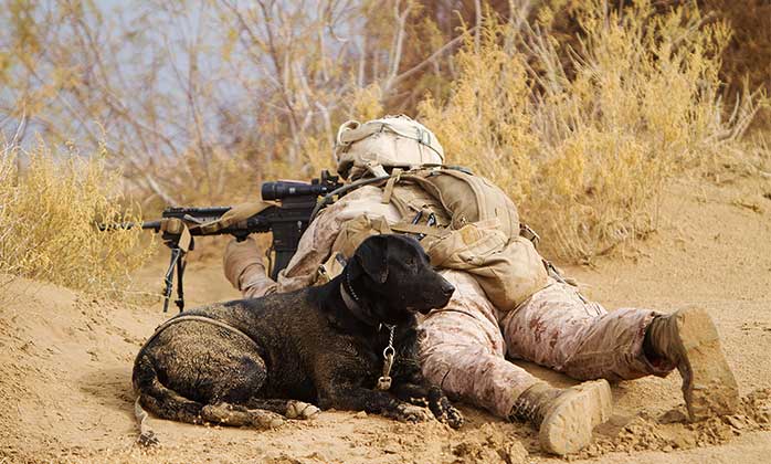 Service member laying on their stomach with a black dog laying beside them