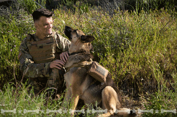 Military K-9 Gif.