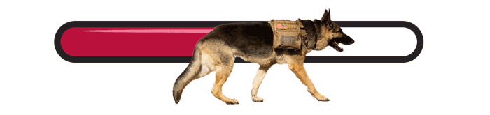 Military K-9 Progress Bar