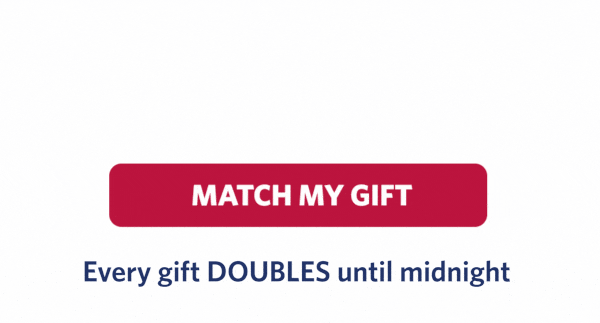 STAND FOR OUR TROOPS ON HELP A HERO DAY. MATCH MY GIFT. Every gift doubles until midnight.