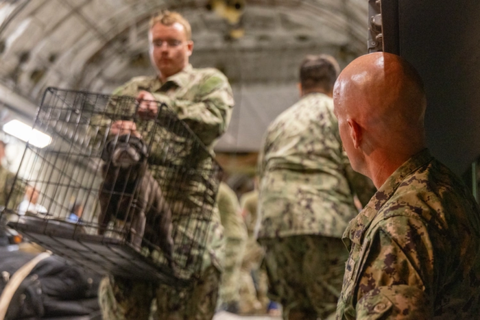 A sailor carries a crated family pet for transport ahead of one of the strongest hurricanes of the 2025 storm season, Hurricane Melissa.