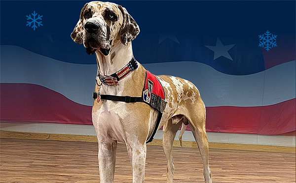 Canine support graphic.