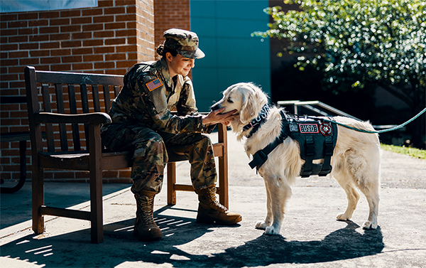 Service member with canine support. Service member with canine support.