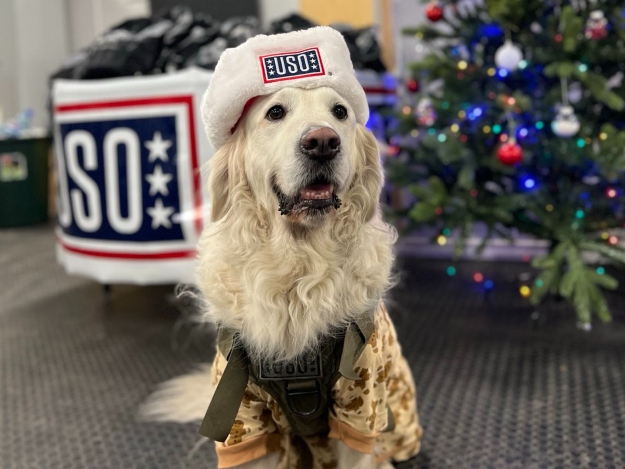 A Brave USO Canine Volunteer Dressed for the Holidays! A Brave USO Canine Volunteer Dressed for the Holidays!